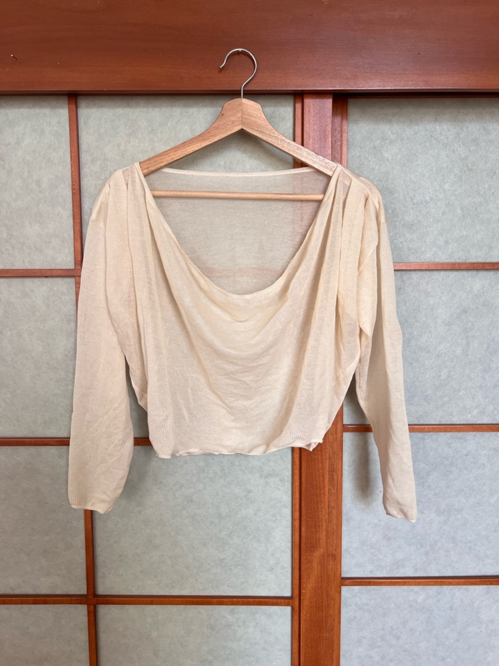 Eimy Istoire Japanese Designer Sheer Cropped Long Sleeve Drape Top